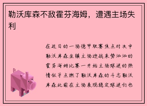 勒沃库森不敌霍芬海姆，遭遇主场失利